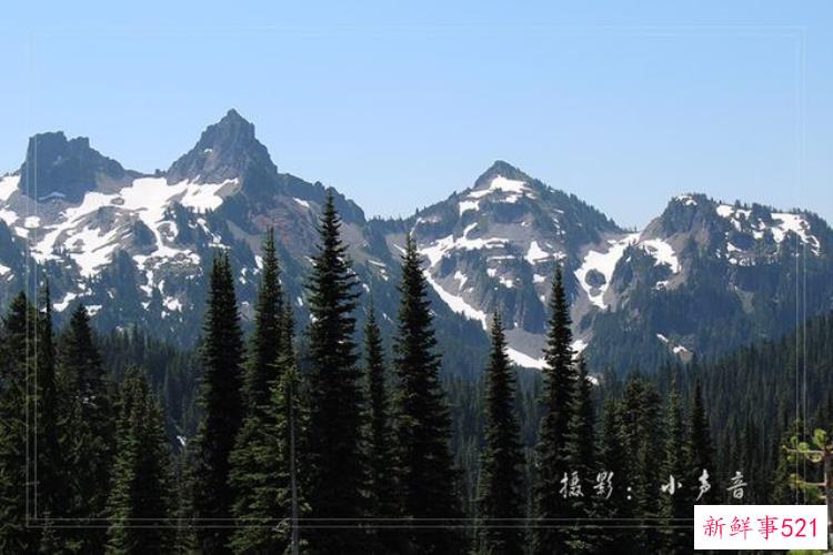 美国西雅图雷尼尔雪山「西雅图雷尼尔雪山火山踏花行」