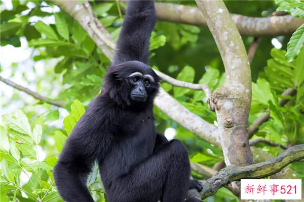 中国神和神仙哪个更厉害？上帝的地位更高(上帝赋予他神力和长寿)