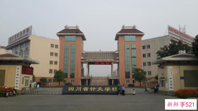 成都中医药大学中国出土医学文献与文物研究院，成都中医药大学历史手稿