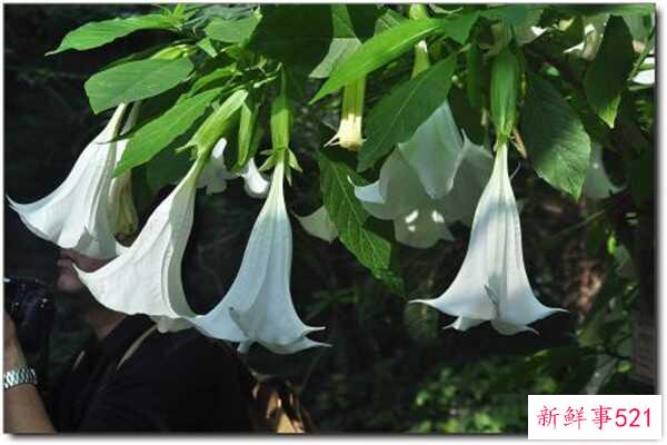 人可以空腹运动吗？运动前吃什么比较合适？