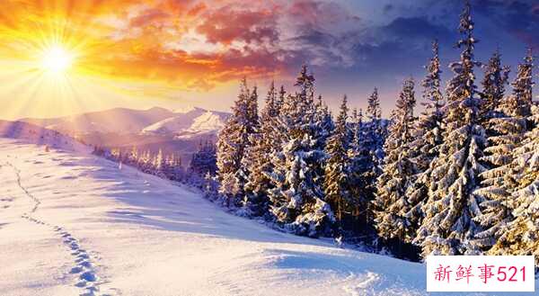 冬天的特点有哪些？冬天的十大优点与缺点