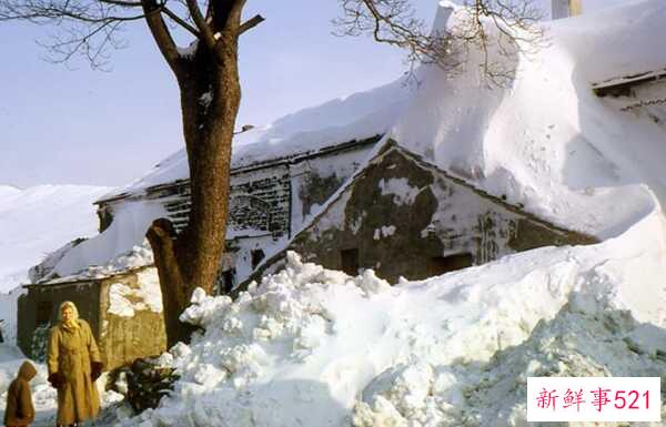 冬天的特点有哪些？冬天的十大优点与缺点