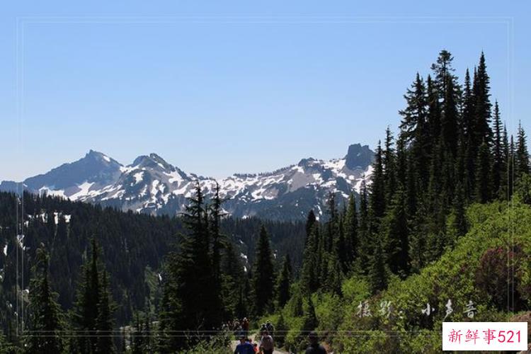 美国西雅图雷尼尔雪山「西雅图雷尼尔雪山火山踏花行」