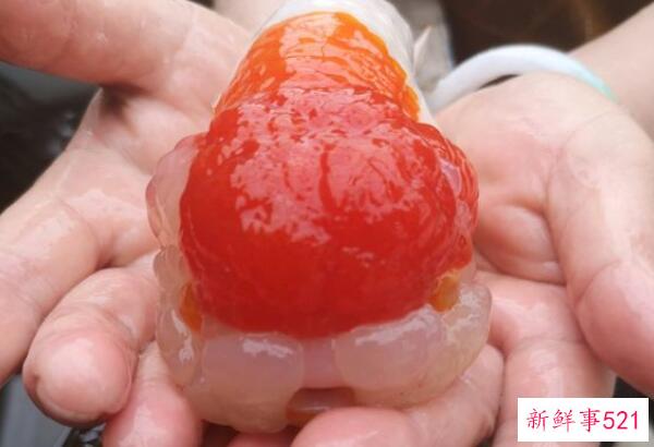 如来和玉帝谁更大？玉帝真的怕如来吗(真相令人惊讶)