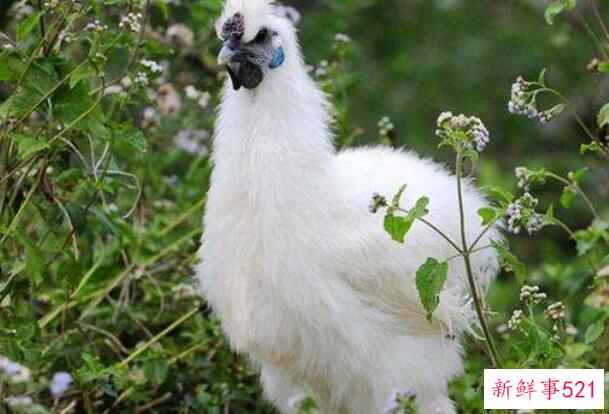 卫生纸的腥味是怎么回事？劣质纸巾只有气味(不健康)