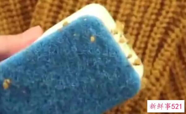 皮蛋和红薯可以一起吃吗？吃皮蛋红薯要注意什么？