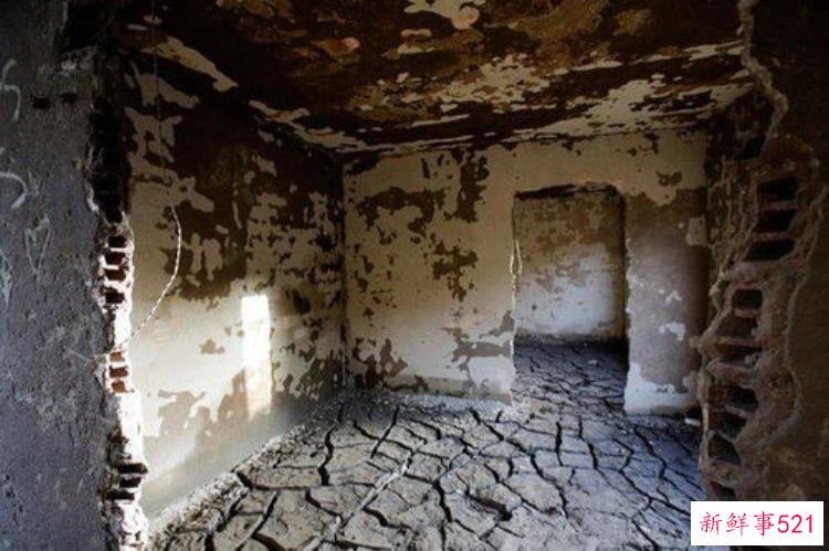 重庆市文物考古研究院今日挂牌仪式，重庆市文物考古