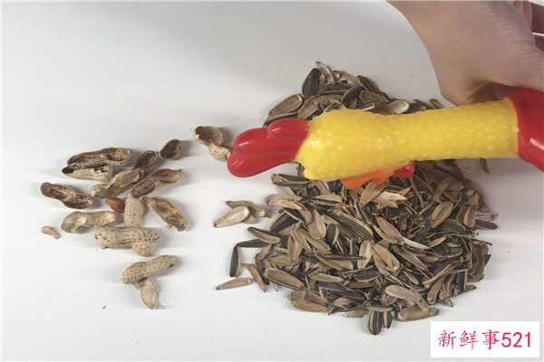 瓜子壳是餐厨垃圾吗？瓜子壳可以当枕头材料吗？