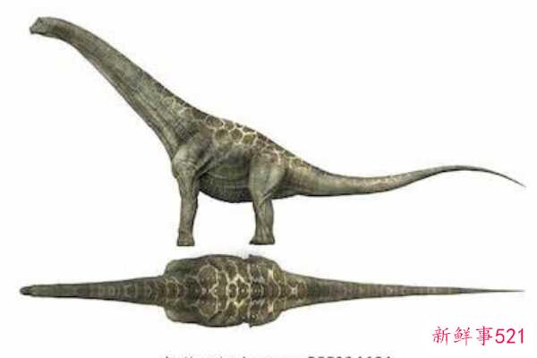 白垩纪Nodulosauridae-匈牙利龙有五对尖刺(4米长)