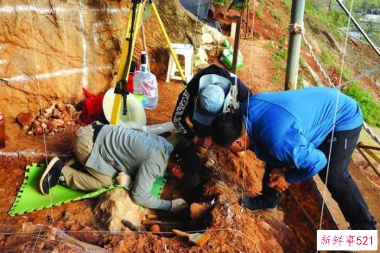 安徽十大考古新发现名单公布最新，安徽考古重大发现