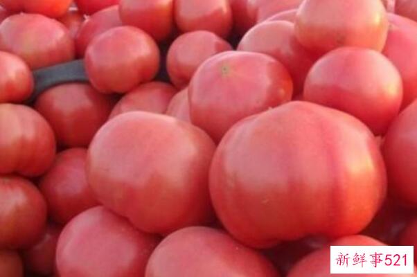 西红柿为什么不能放冰箱？容易腐烂 香气流失严重