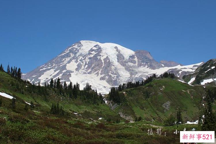 美国西雅图雷尼尔雪山「西雅图雷尼尔雪山火山踏花行」
