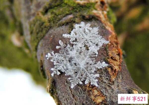 冬天的特点有哪些？冬天的十大优点与缺点