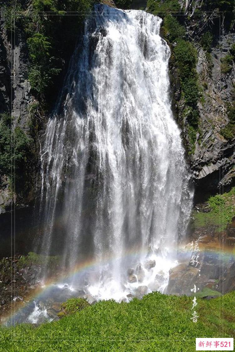 美国西雅图雷尼尔雪山「西雅图雷尼尔雪山火山踏花行」