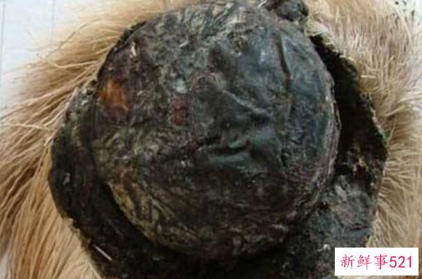 山药不能和哪些食物一起吃？吃山药要注意什么？