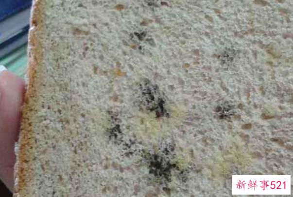 微微发霉的面包能吃吗？不要吃发霉的面包 会影响身体健康