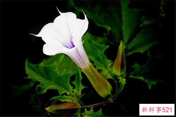 人可以空腹运动吗？运动前吃什么比较合适？