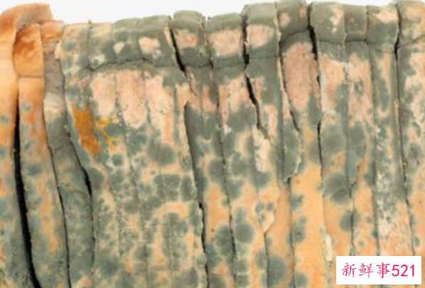 微微发霉的面包能吃吗？不要吃发霉的面包 会影响身体健康