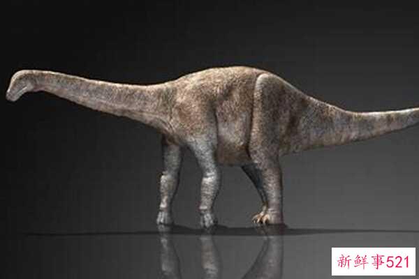 白垩纪Nodulosauridae-匈牙利龙有五对尖刺(4米长)