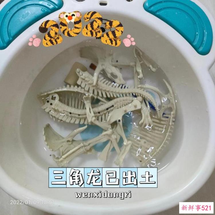 c339f61716cd18d060e2ea437b91950d.jpg
