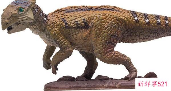 辽宁角鼻龙-已知最早的新角鼻龙(1米长-1.25亿年前)