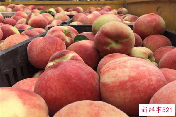 酥桃和软桃的区别是外观、大小、口感不同