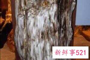 718143ad01cdcc92addc2cd6b9ca1753.jpg