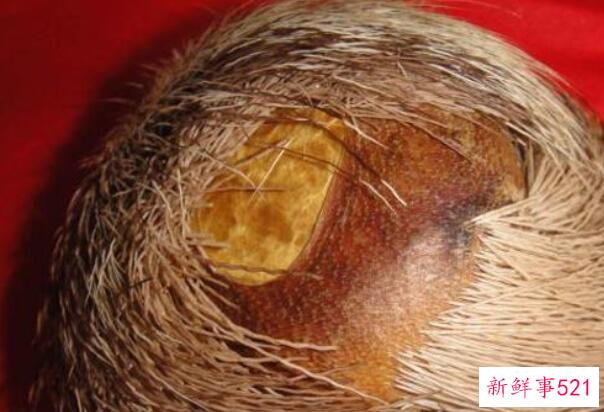 山药不能和哪些食物一起吃？吃山药要注意什么？