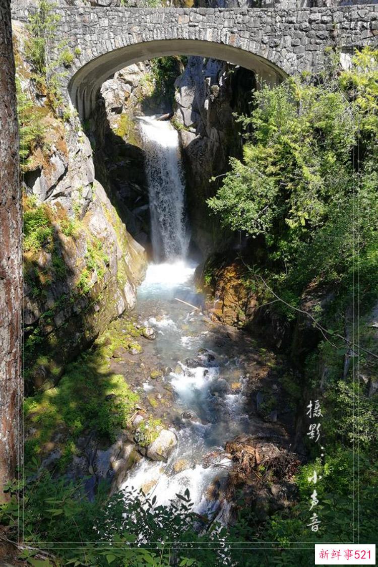 美国西雅图雷尼尔雪山「西雅图雷尼尔雪山火山踏花行」