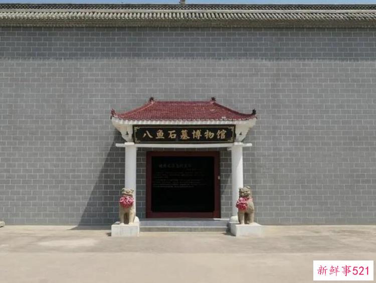陕西考古发掘，陕西考古发掘古墓
