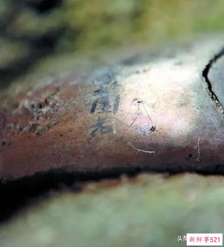 泉州小矮人墓，福建发现1米矮人墓