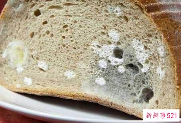 微微发霉的面包能吃吗？不要吃发霉的面包 会影响身体健康