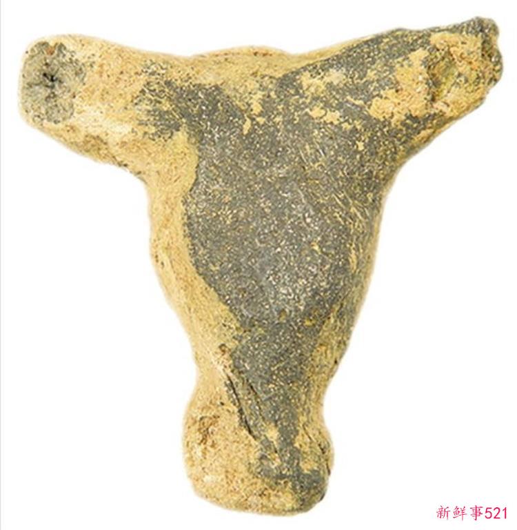 在河姆渡遗址的发掘中，考古工作者发现了，河泊所遗址
