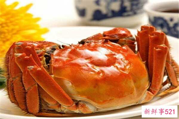 旗蟹是什么意思？旗蟹(又称处女蟹)的特点