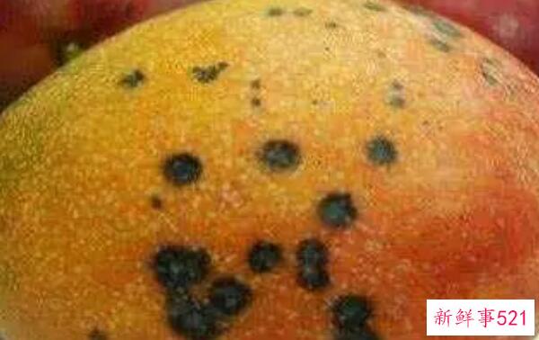 芒果黑点还能吃吗？小黑点最好(大黑点芒果致癌)
