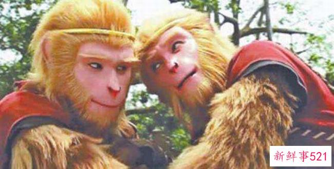 刘二猕猴的真实身份是什么？为什么能变得像孙悟空？