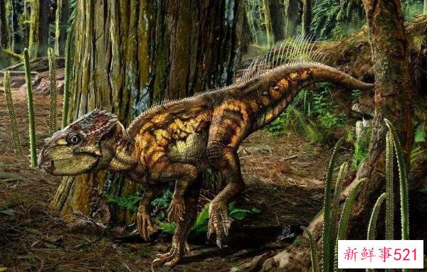 辽宁角鼻龙-已知最早的新角鼻龙(1米长-1.25亿年前)