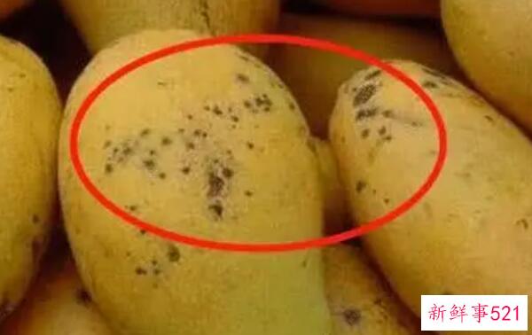 芒果黑点还能吃吗？小黑点最好(大黑点芒果致癌)