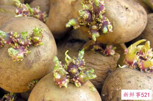 哪些食物容易威胁生命？注意日常饮食烧肉含有致癌物质