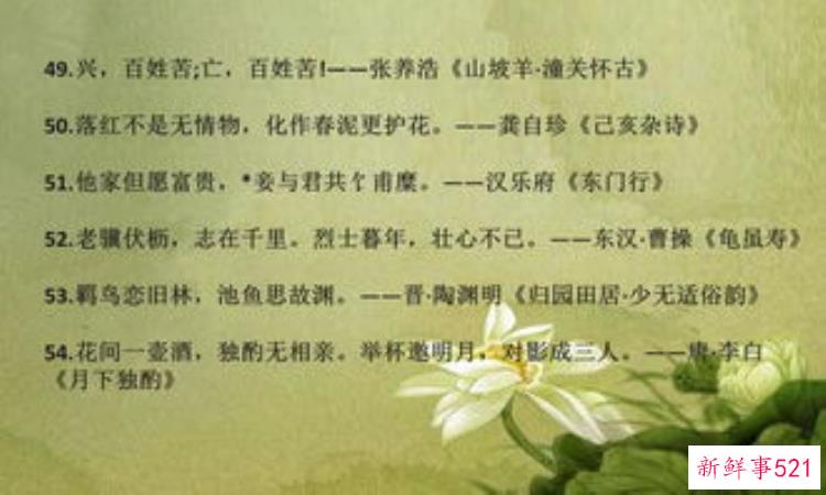中考必背古诗古文，中考语文古诗词必背