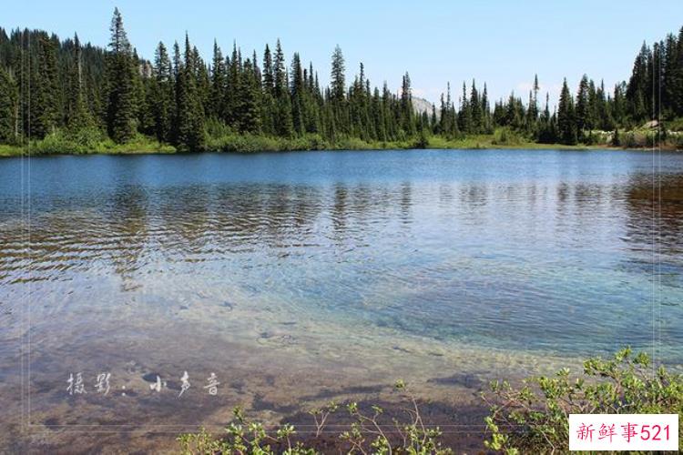 美国西雅图雷尼尔雪山「西雅图雷尼尔雪山火山踏花行」