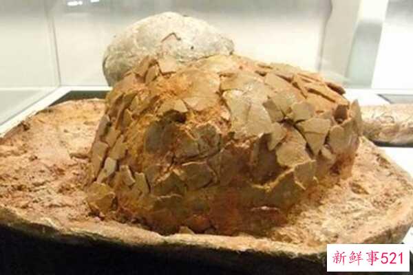 白垩纪Nodulosauridae-匈牙利龙有五对尖刺(4米长)
