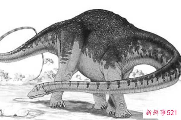 白垩纪Nodulosauridae-匈牙利龙有五对尖刺(4米长)