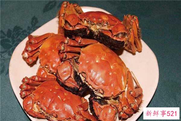 旗蟹是什么意思？旗蟹(又称处女蟹)的特点