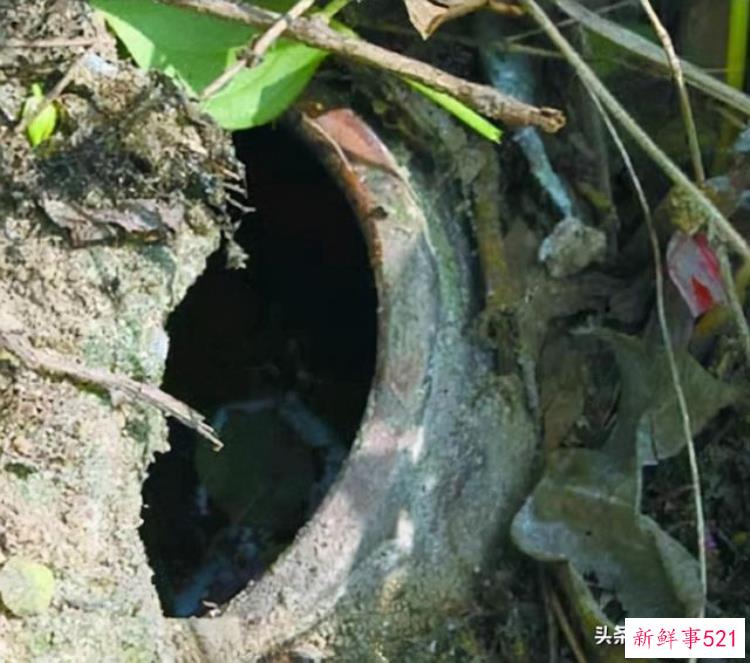 泉州小矮人墓，福建发现1米矮人墓