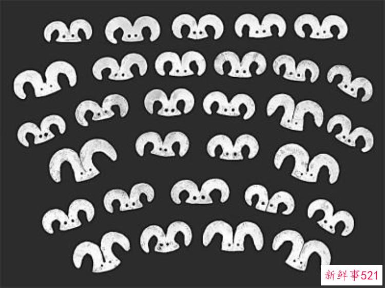 eded3041390e2b54b6781335b1e91044.jpg