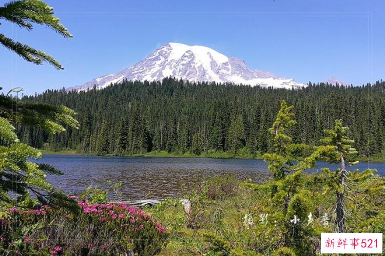 美国西雅图雷尼尔雪山「西雅图雷尼尔雪山火山踏花行」