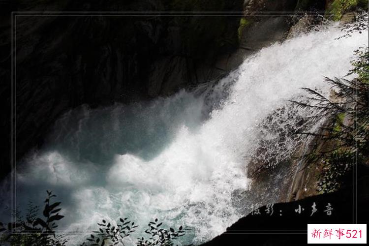 美国西雅图雷尼尔雪山「西雅图雷尼尔雪山火山踏花行」