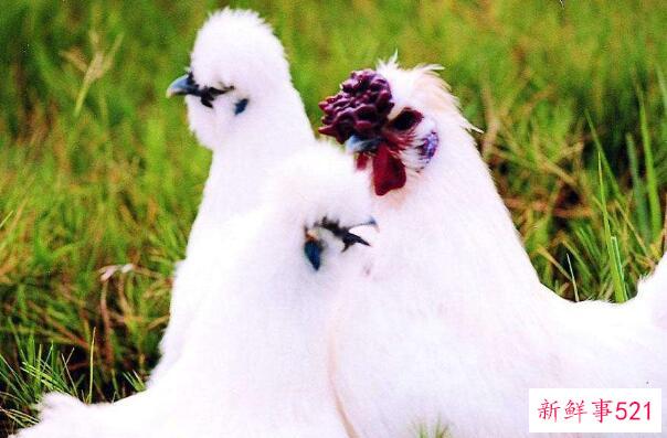 卫生纸的腥味是怎么回事？劣质纸巾只有气味(不健康)