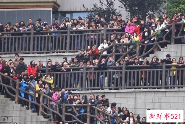 偶像化让你收获了什么？明智的偶像崇拜获得快乐和动力